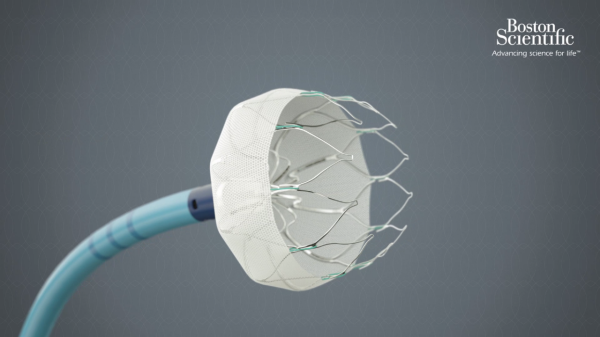 WATCHMAN™ Device For Afib Treatment | Boston Scientific